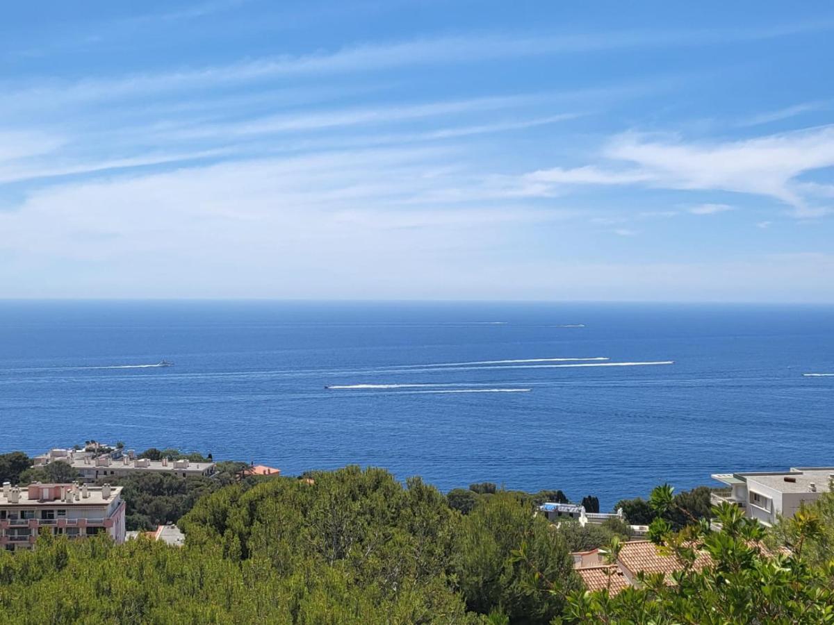 Cap Monaco Apartment